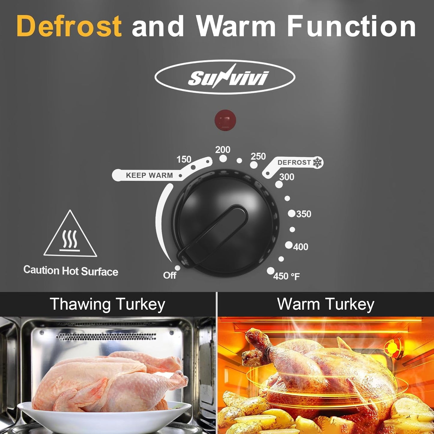 Superjoe 8 QT Electric Roaster Oven with Self-Basting Lid, Defrost Warm Function, Removable Pan, Stainless Steel, Grey