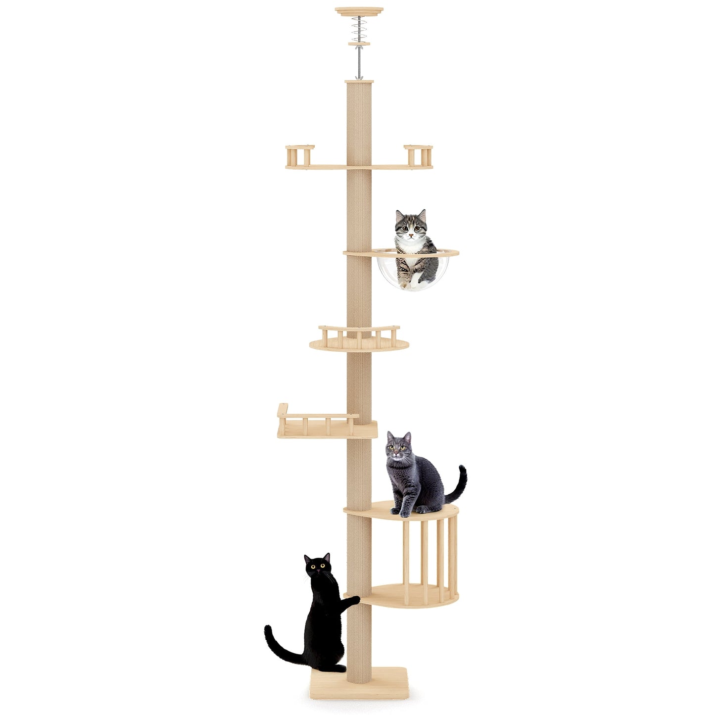 Heynemo Floor to Ceiling Cat Tree Tower Adjustable Height Multi-Level with Acrylic Capsule Sisal Scratching Posts Stable Stylish for Kittens & Large Cats