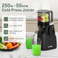 Heynemo Cold Press Juicer Machine, 5.9" Wide Feed Chute, Masticating, Dual-Layer Strainer - Black