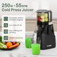 Sunvivi Cold Press Masticating Juicer Machine - 5.9" Wide Feed Chute, Dual-Layer Strainer
