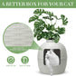 CozyHom Cat Hidden Litter Box Furniture, Artificial Plant Hidden Calley, Ventilated Waterproof And Odor Resistant, 3.3lbs Real Stone Block For Large Cats, White