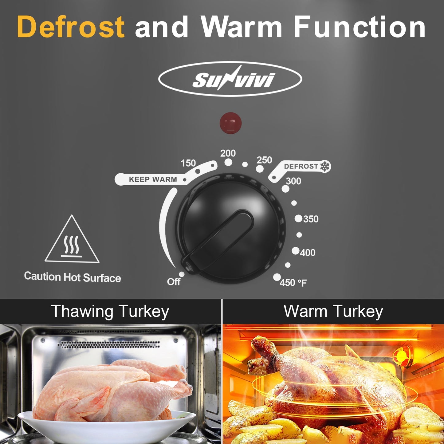 Heynemo Roaster Oven with Self-Basting Lid, 8qt Electric Roaster with Removable Pan & Rack, Turkey Roaster Oven with Defrost & Warm Function, Stainless Steel, Grey