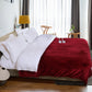 Electric Blanket Queen Size with Dual Controllers,10 Heating Levels& 12 hours Auto-off,Overheat Protection,Red