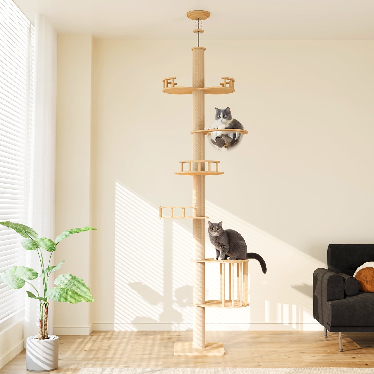Heynemo Floor to Ceiling Cat Tree Tower Adjustable Height Multi-Level with Acrylic Capsule Sisal Scratching Posts Stable Stylish for Kittens & Large Cats