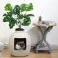 Superjoe Plastic Hidden Cat Litter Box with Decorative Planter,Gray