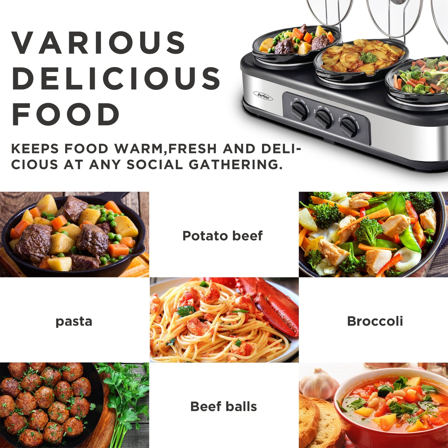 Sunvivi 2 in 1 Slow Cooker and Rice Cooker, Multi Slow Cooker with 1.5 QT Ceramic Pot & 3 Cup Rice Cooker , Non-Stick Aluminum Pot & Indicator Lights, Dual Control Knob, Stainless Steel