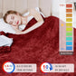 Electric Blanket Queen Size with Dual Controllers,10 Heating Levels& 12 hours Auto-off,Overheat Protection,Red