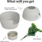 Hidden Litter Box with Faux Plant