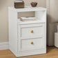 Royalcraft Nightstand with Storage Shelf and Door, Faux two-drawer Design Side Table , Modern Night Stand for Bedroom Dorm, Wood End Table for Living Room Small Spaces