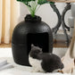 Superjoe Plant Hidden Cat Litter Box Plastic Rattan DIY Home Decor, Black