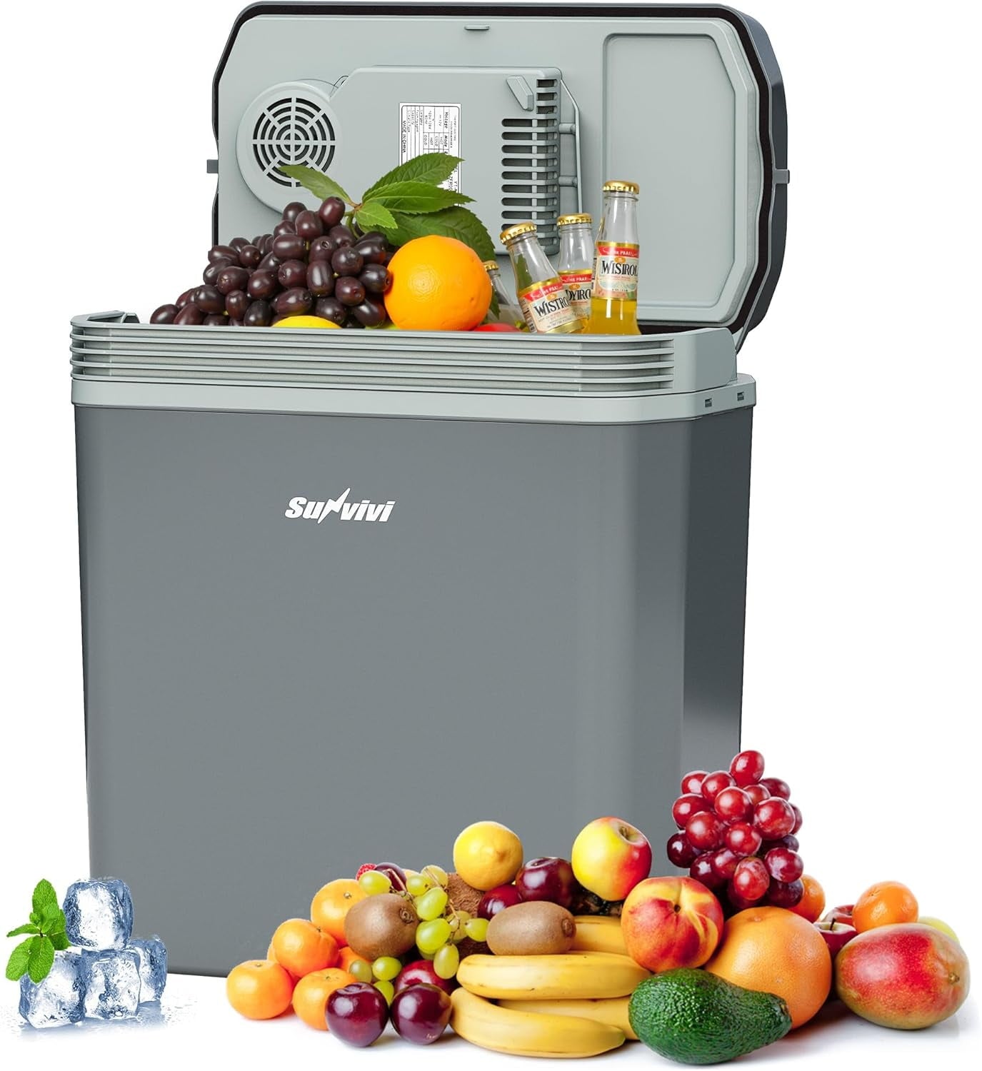 Heynemo 21QT Car Electric Cooler and Warmer with Handle, Portable 12V Plug-in Car Refrigerator, Small Electric Cooler for Vehicle, Truck, Travel, Office, Gray