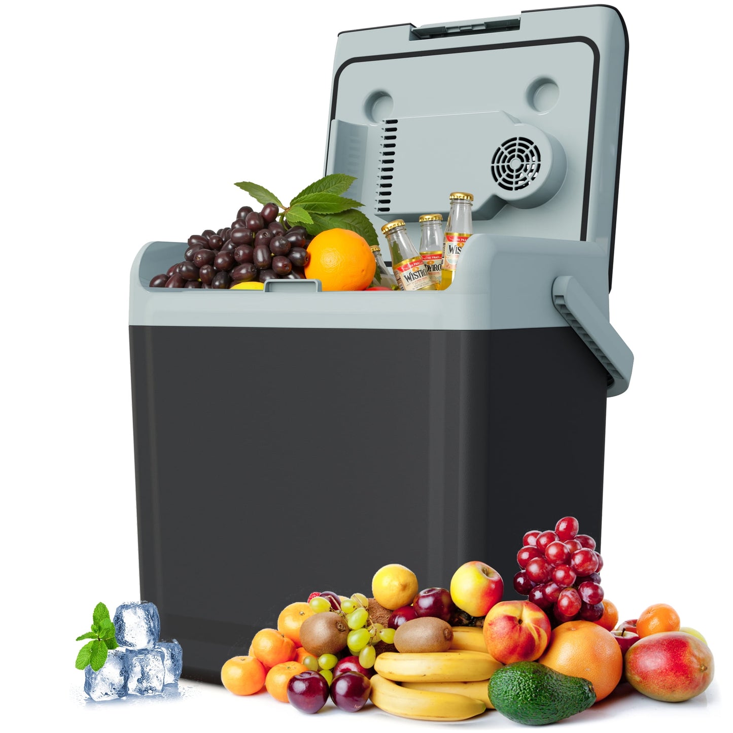 Heynemo 25QT Thermoelectric Mini Fridge ¨C Dual Cooling & Heating Portable Cooler for Travel, Camping, Car, and Home Use, Black