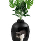 Superjoe Plant Hidden Cat Litter Box Plastic Rattan DIY Home Decor, Black