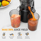 Sunvivi Slow Cold Press Juicer with 5.9" Wide Feed Chute - Masticating Juicer - Black