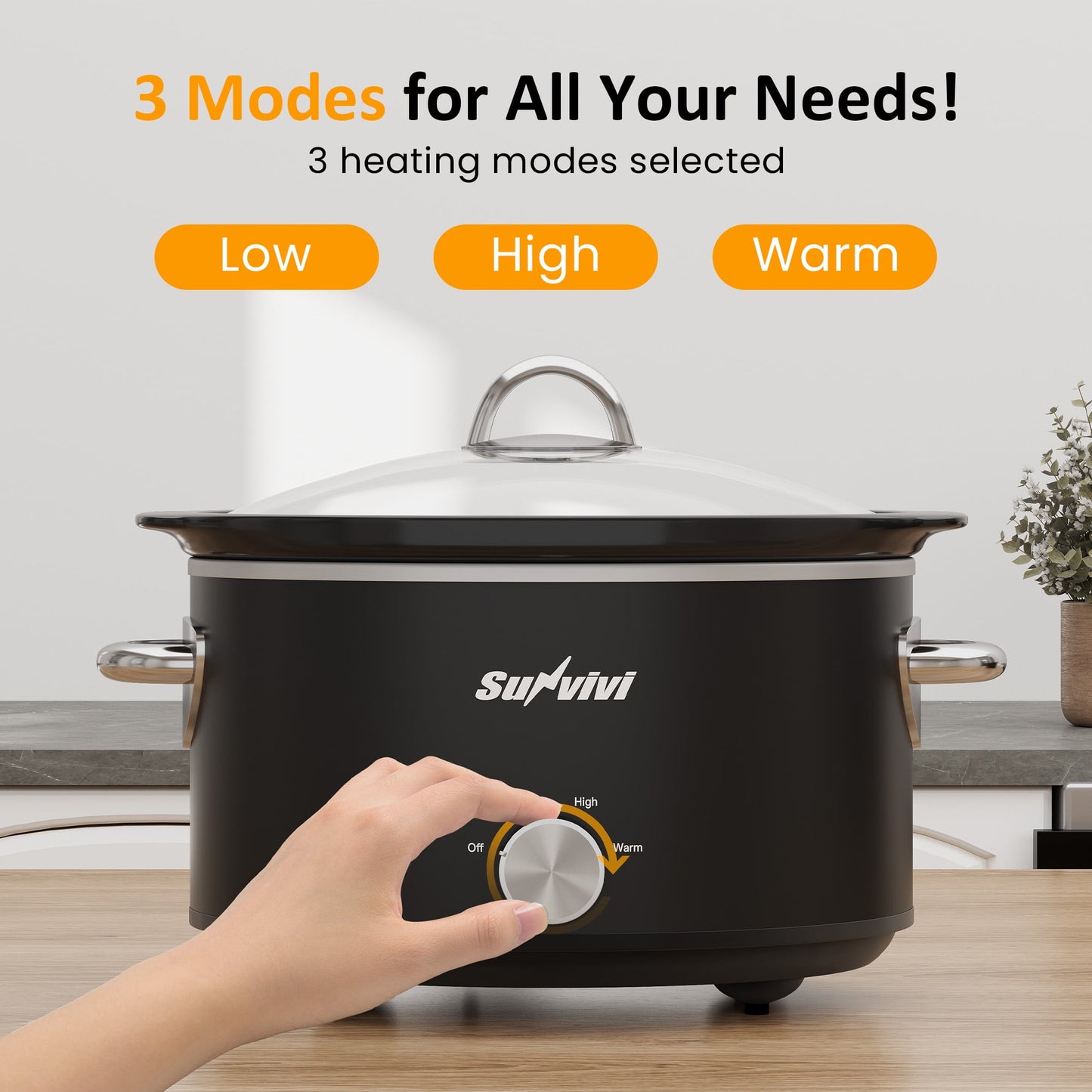 Heynemo 4QT Compact Slow Cooker & Food Warmer with 3 Temperature Settings, Dishwasher Safe - Black