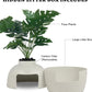 Superjoe Plastic Hidden Cat Litter Box with Decorative Planter,Gray