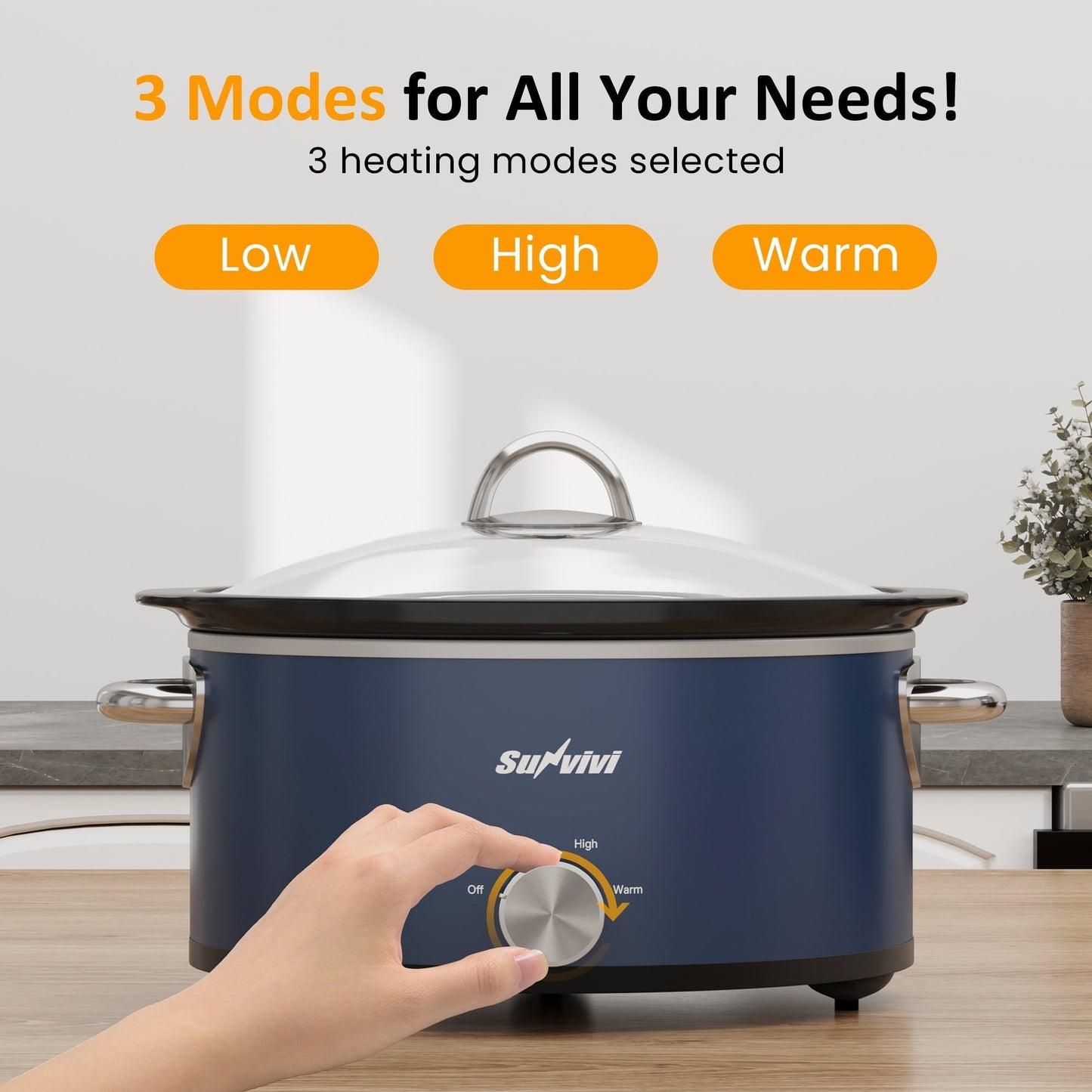 Sunvivi 3QT Compact Slow Cooker & Food Warmer