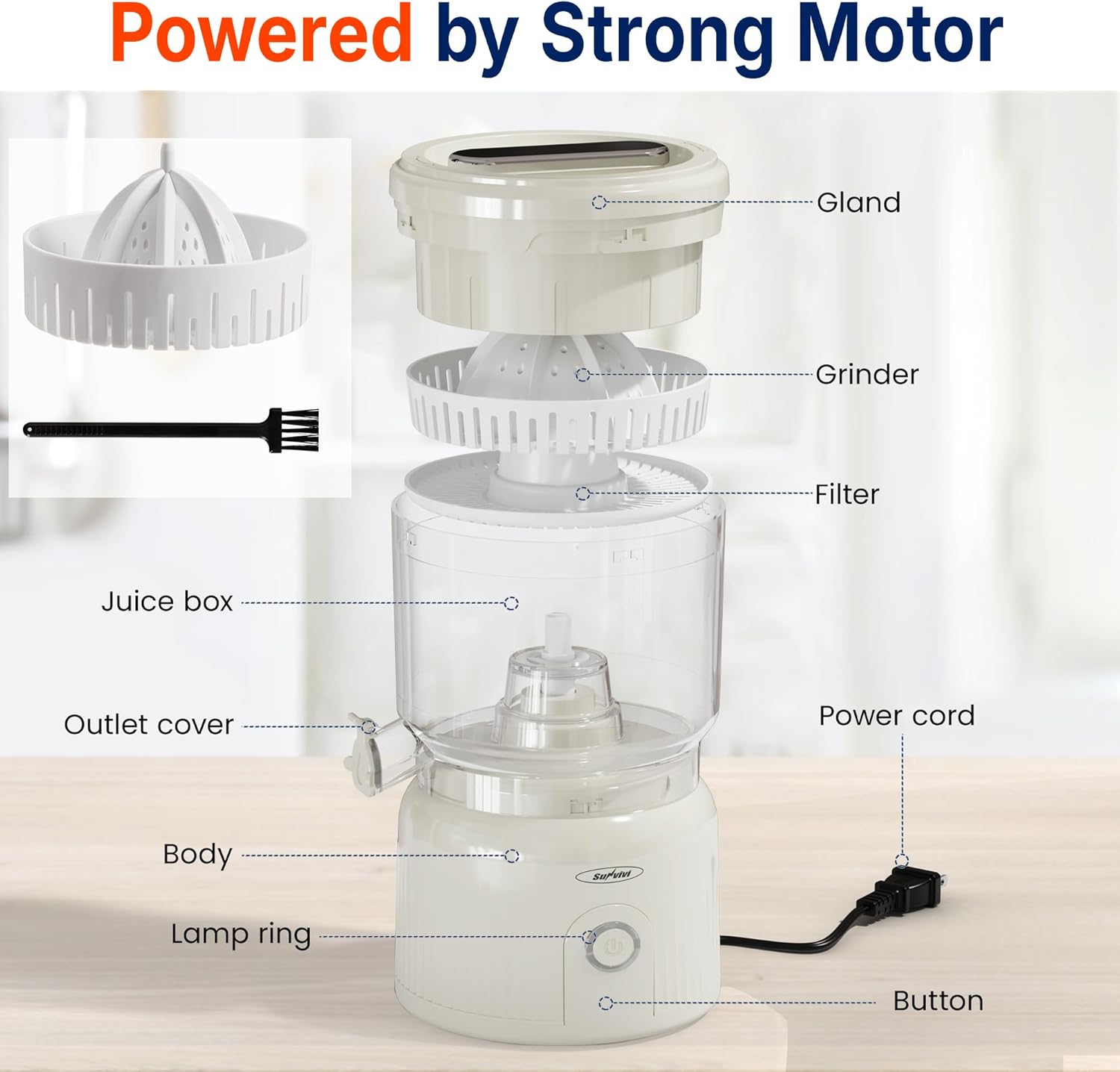 Sunvivi Electric Citrus Juicer 90W Automatic Juice Squeezer with High-Speed 15,000 RPM Ideal for Orange Lemon and Soft